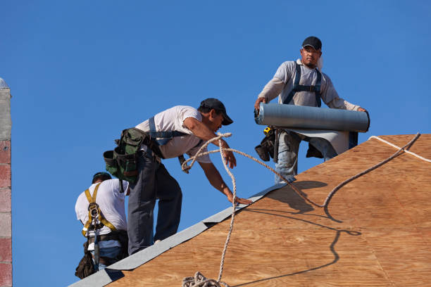 Best Roof Maintenance Services  in Ripley, MS
