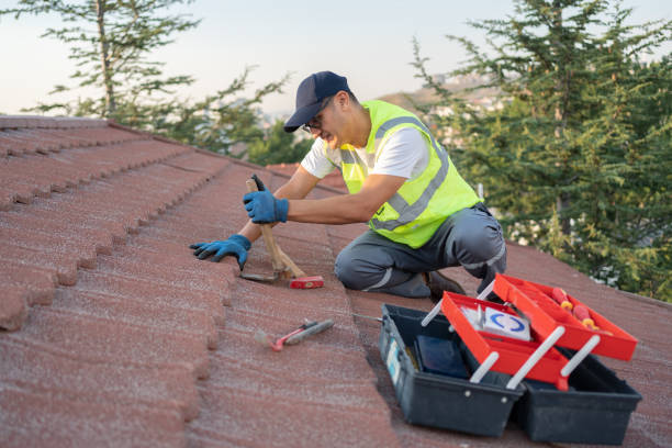 Best Tile Roofing Contractor  in Ripley, MS