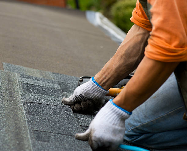 Best Roof Leak Repair  in Ripley, MS